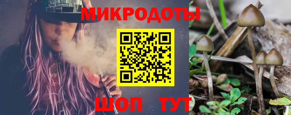 что такое наркотик  Вход с VPN  Саки  Псилоцибиновые грибы Cubensis 